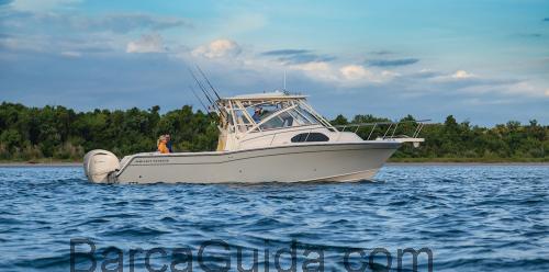 Grady White 300 Marlin recensioni e scheda tecnica